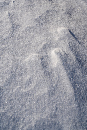 Patterns and textures created by snow and wind. Light and shadow.の写真素材