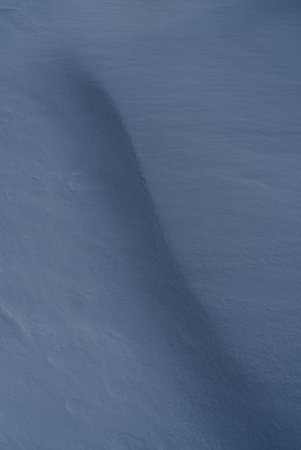 snow texture. Light and shadow.の写真素材
