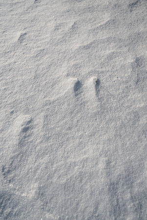 snow texture. Light and shadow, winter background.の写真素材