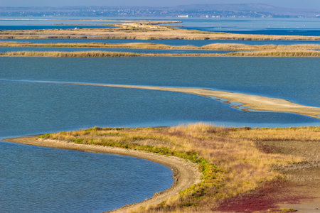Sea river lake forest field vegetation Sunny morning day landscape colorful