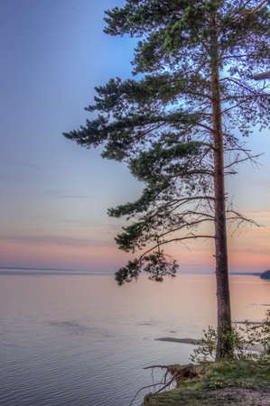 Landscape water forest field sunsetの写真素材