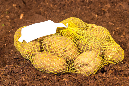 Mesh potatoes with a white tag is on the ground closeupの写真素材