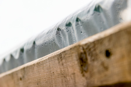 Edge of the greenhouse cellophane nailed Board misted droplets close-upの写真素材