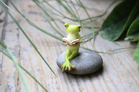 Reading frog-Kunの写真素材