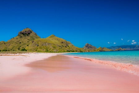 Pink Beach in Komodo Dragon Island Indonesiaのeditorial素材