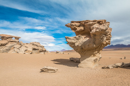 The Tree Rock in Uyuni Boliviaの写真素材