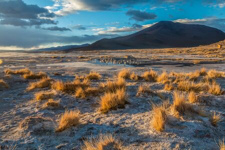 Uyuni Desert in Boliviaの写真素材