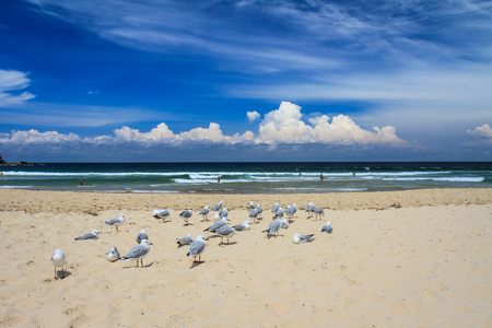 Manly beach in Sydneyのeditorial素材