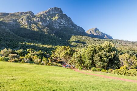 Kirstenbosch gardens in South Africaの写真素材
