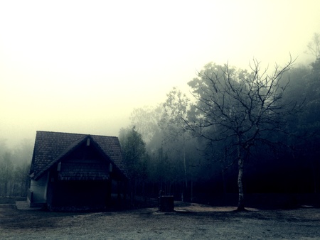 Thailand national park in March 2014.の素材