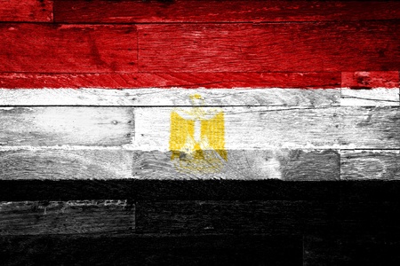 egypt flag painted on old wood backgroundの写真素材