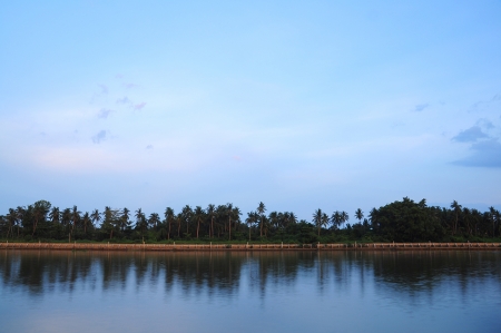 coconut tree on the water in the evening backgroundの写真素材