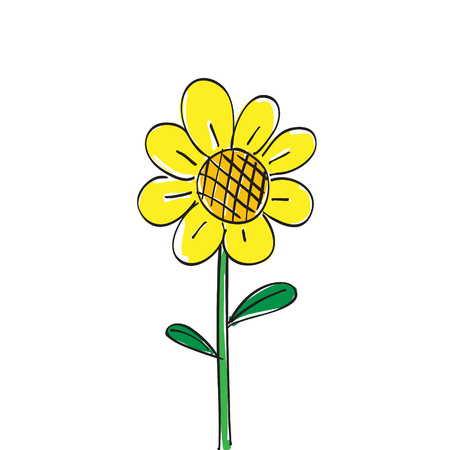 Hand drawn sun flower on white backgroundのイラスト素材