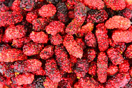 Close up of mulberry fruit