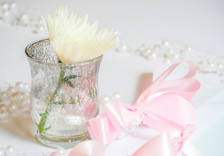 white flower in a little vase and pink bow ribbonの写真素材