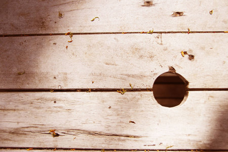 wood holeの写真素材
