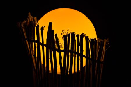 silhouette of abstract globe of light stuck in a handmade support made from branchesの写真素材