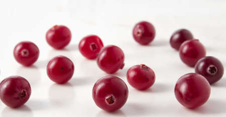 Red cranberries close-up shot with small depth of fieldの写真素材