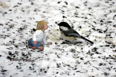 A little girl chatting with a chickadeeの写真素材
