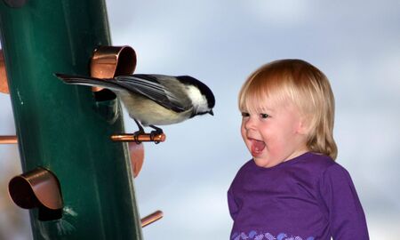 a little girl talking to a chickadeeの写真素材