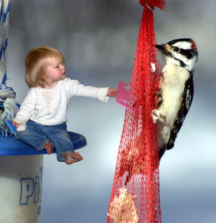 a little girl offering her toy to a birdの写真素材