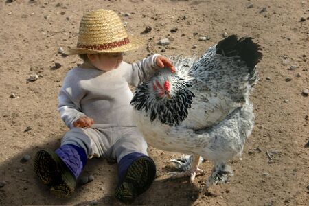 a little girl with her arm around a chickenの写真素材