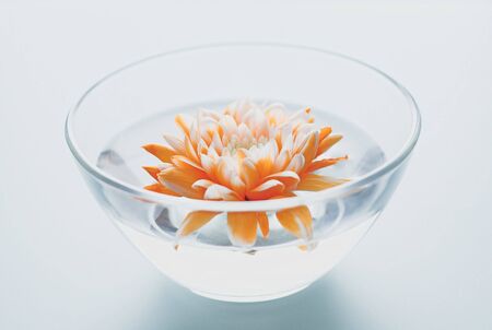 orange flower float waterの写真素材