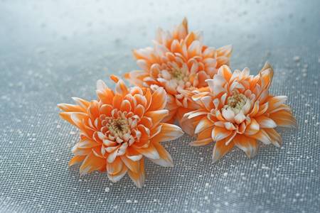 three orange flower on blue backgroundの写真素材