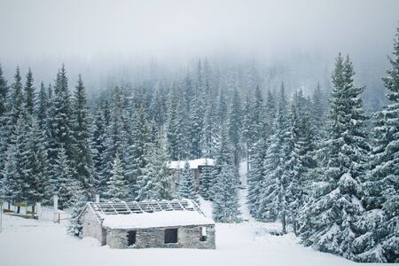 Old shabby house in the snowy mountain forestの写真素材