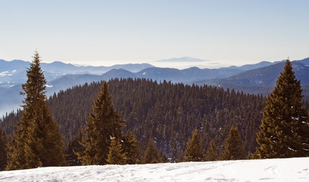 Mountain landscape with green forest and snowの写真素材