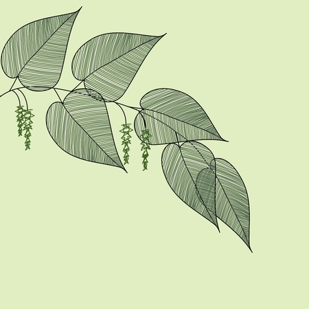 Stylish leaf backgroundsのイラスト素材
