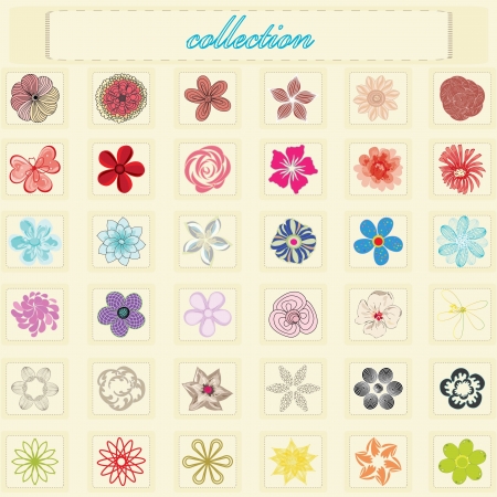 Abstract collection flower backgroundのイラスト素材