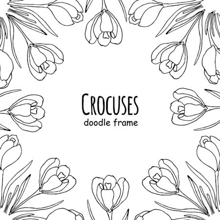 Vector frame from crocuses. Card with spring flowers in doodle style isolated on white background.のイラスト素材