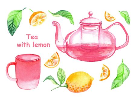 Watercolor tea set, isolated objects on a white background. Glass teapot, mug, fruits and leaves of a lemon.の写真素材