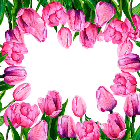 Watercolor frame of pink tulips. Card with tulips for Mother's Day, wedding, birthday. Flowers are isolated on a white background.の写真素材