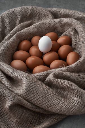Eco fresh eggs from the farm to the kitchen.の写真素材