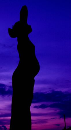 Silhouette of a pregnant woman on a background of a sunset, dawnの写真素材