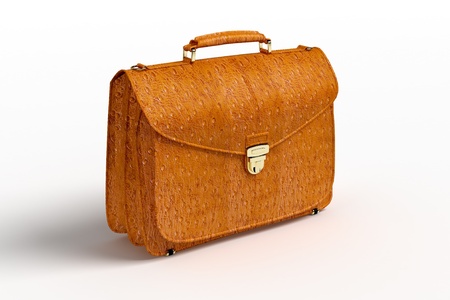 Crocodile leather briefcaseの写真素材