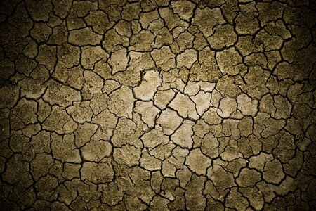 cracked earth