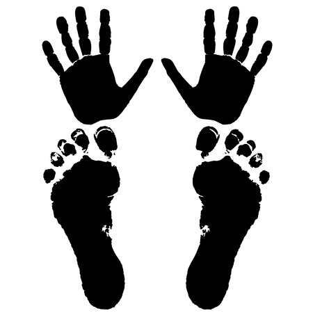 hand and feet of a man isolated on white background, vectorのイラスト素材