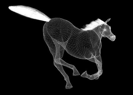 Running Horse body structure , wire modelの写真素材