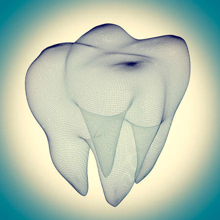 human tooth wire frame on the backgroundの写真素材