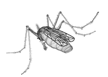Mosquito in wire carcass isolated on a white backgroundの写真素材