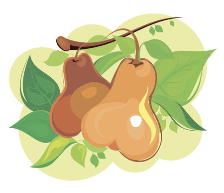 pearのイラスト素材