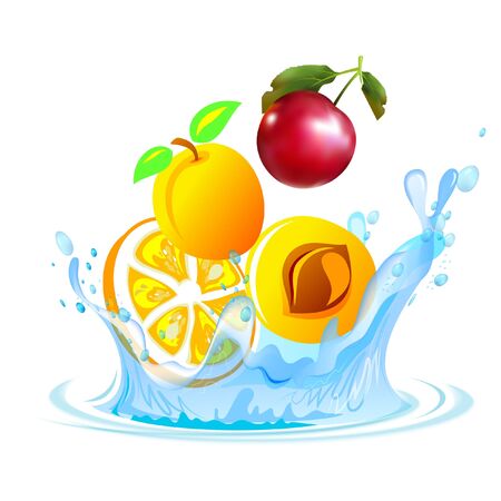 Fruit in the waterのイラスト素材