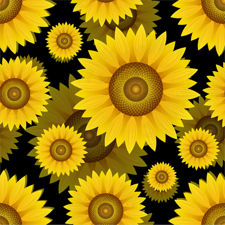 Pattern with sunflowers on a black backgroundのイラスト素材