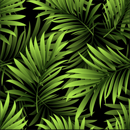 Pattern with fresh green tropical palm tree leaves and branches on a black backgroundのイラスト素材