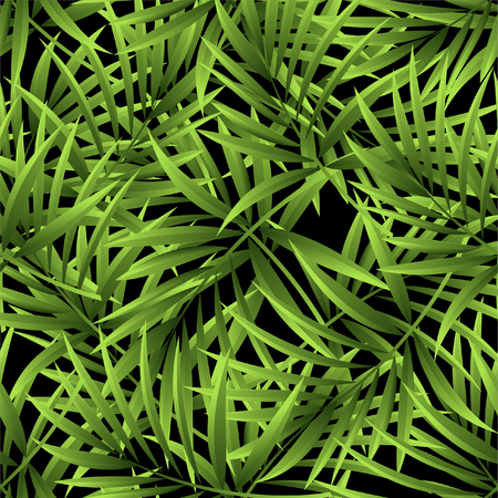 Pattern from a tropical palm tree on a black backgroundのイラスト素材