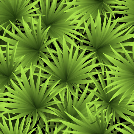 Pattern from a tropical palm tree on a black backgroundのイラスト素材