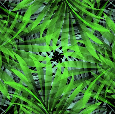 Pattern from a tropical palm tree on a black backgroundのイラスト素材